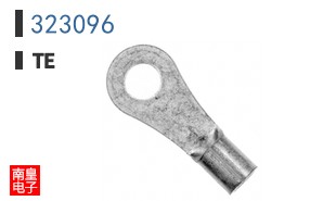 323096