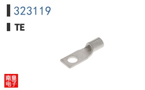 323119