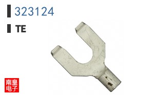 323124