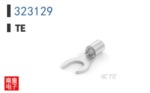 323129