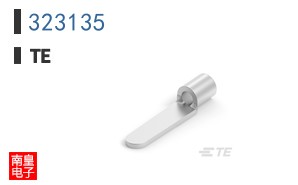 323135