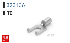 323136