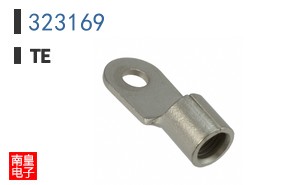 323169