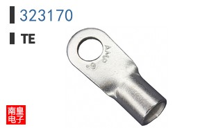 323170