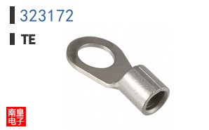 323172