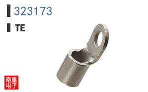 323173