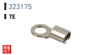 323175