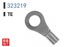 323219
