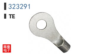 323291