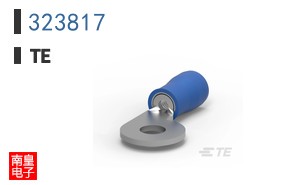 323817