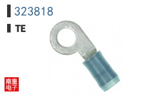 323818