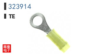 323914