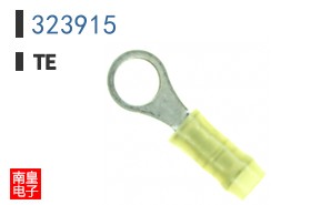323915