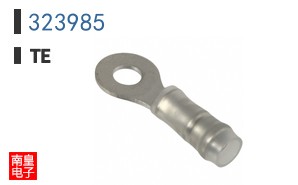 323985