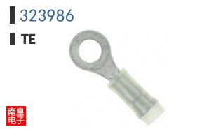 323986