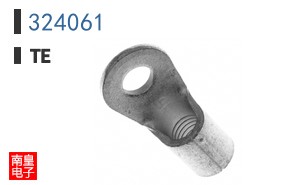 324061