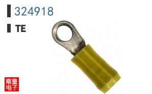 324918