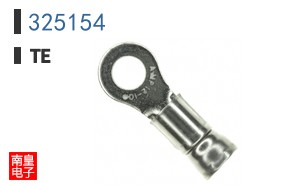 325154