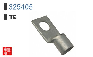 325405