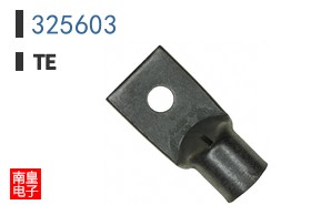 325603