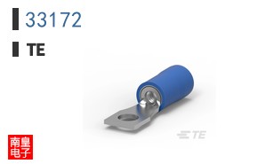 33172