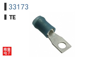 33173
