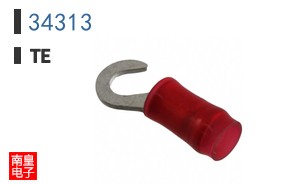 34313