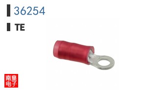 36254