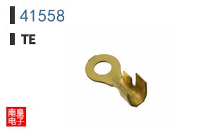41558