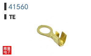 41560