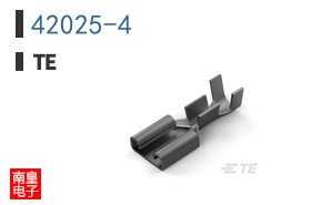 42025-4