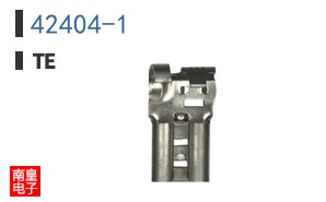 42404-1