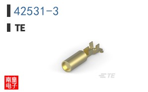 42531-3