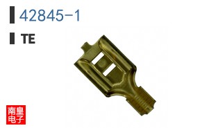 42845-1