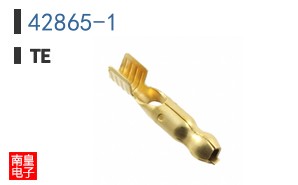 42865-1