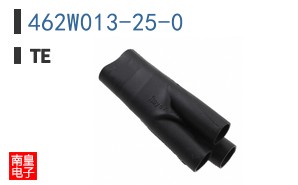 462W013-25-0