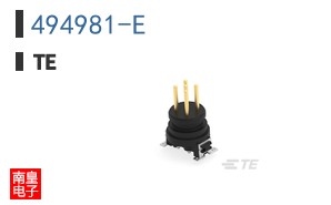 494981-E