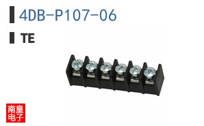 4DB-P107-06