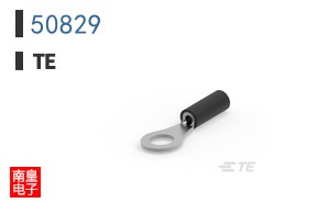50829