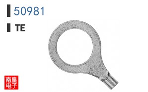 50981