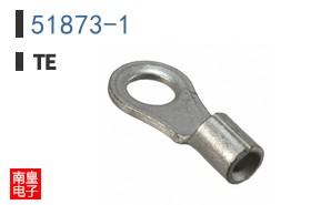 51873-1