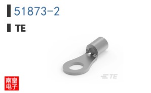 51873-2