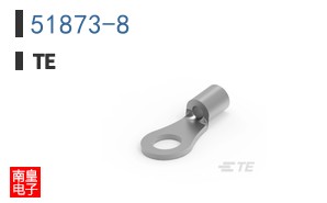 51873-8