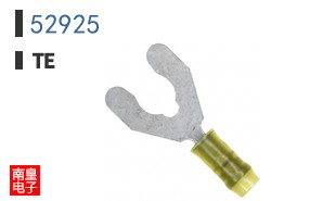52925