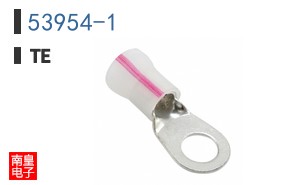 53954-1