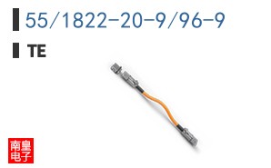 55/1822-20-9/96-9