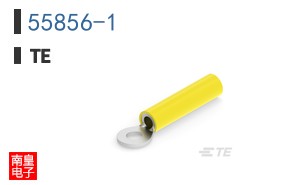 55856-1
