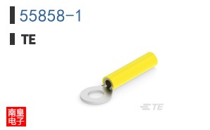 55858-1