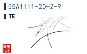 55A1111-20-2-9