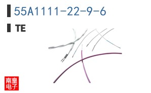 55A1111-22-9-6